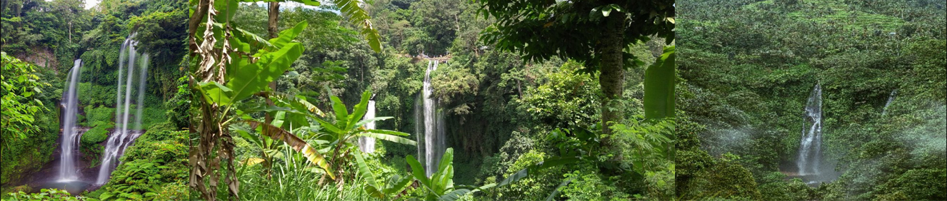 Waterfall Sekumpul